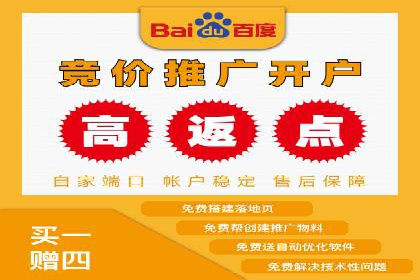 百度竞价代理实战技巧：经典案例深度解读